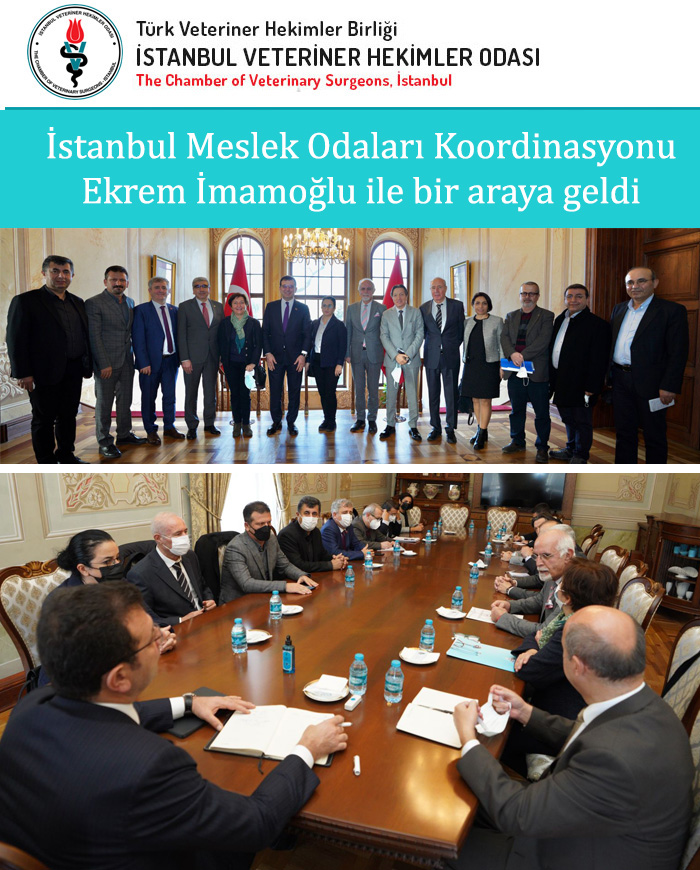 İstanbul Meslek Odaları Koordinasyonu Ekrem İmamoğlu ile bir araya geldi